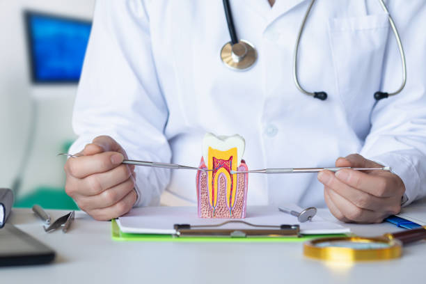 Best Emergency Treatment for Toothache in Ashland, OR